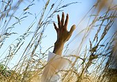 Man's arm reaching up amongst tall weeds
