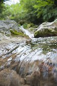 Water flowing over rocks, close-up