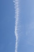 Vapor trail in blue sky