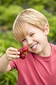 Portrait of young boy holding misshapen strawberry