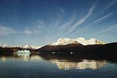 Icebergs, Upsala Glacier tour, Glacier National Park, Lago Argentina, Argentina