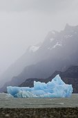 Iceberg in Grey Lake, Patagonia, Torres del Paine National Park, Chile