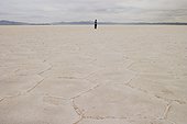 Person standing on salt flat, looking at view, rear view, Salar de Arizaro, Salta Province, Argentina