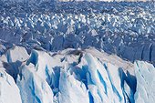 Perito Moreno Glacier, Glacier National Park, Argentina