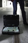 Briefcase Full of Cash
