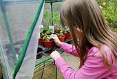 Little Girl Selecting a Potted Plant