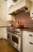 Stainless Steel Stove in Traditional Style Kitchen