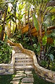 Outdoor Stairway