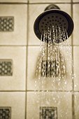 Shower Fixture