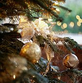 Christmas Tree Adorned with Golden Balls and Bows