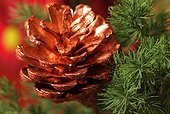 Close up of pine cones decorated during Christmas