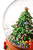 Close up of a small Christmas tree inside a spherical glass