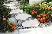 High angle view of a stony path amidst flowers and plants