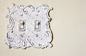 White Switchplate