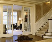 Chocolate Lab at Foot of Stairway in Foyer