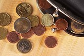 Euro coins, purse