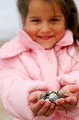 Girl collecting shells
