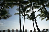 Row of sun loungers on a tropical beach