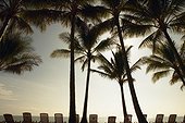 Row of sun loungers on a tropical beach