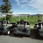 Row of three parked golf carts, rear view