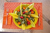 Endive watercress and tomato salad on colorful mat