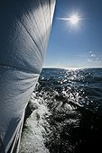Close-up of sailboat's canvas while in motion