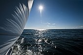Sailboat moving fast on sea with bright sunlight on water