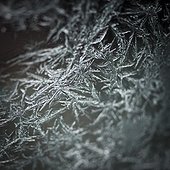 Close-up of frost on glass