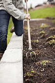 Low section of man using gardening fork in dirt