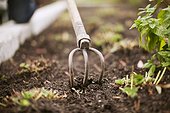 Close-up of gardening fork in dirt
