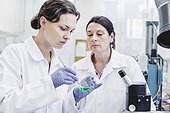 Female scientists analyzing sample in laboratory