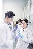 Scientists examining medical sample at laboratory