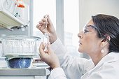 Side view of female scientist analyzing chemical in laboratory
