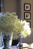 White blooming flowers in vase