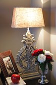 Rose blossoms, photographs and table lamp