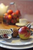 Apple, spoon and napkin on plate