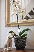 Orchid and dog figurine on dresser