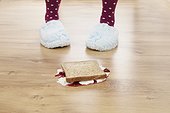 jam sandwich fallen on the floor
