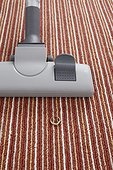 vacuum cleaner accidentally vacuuming ring on carpet