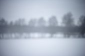 blurred winter landscape