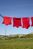 red t-shirts hanging on clothesline in summer