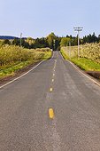 a road with orchards on both sides; portland oregon united states of america