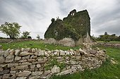 ruins of st. nicolas church; thomastown county kilkenny ireland