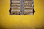 wooden shutters on a yellow wall; dakar senegal