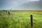 fog over a field with long grass and wooden fence posts with the mountains in the background; iceland