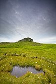 a large rock surrounded by a grassy open space; papey island iceland
