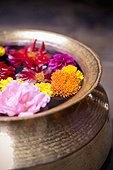 flowers floating in a bowl filled with water; bhaktapur nepal