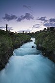 trees lining a flowing river at dusk; new zealand