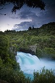 a waterfall surrounded by a forested area; new zealand