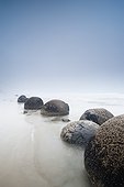 boulders in a row in the shallow water at the beach along the coast; moeraki south island new zealand